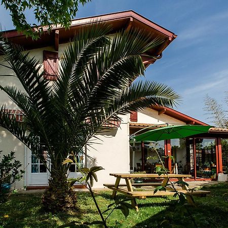 Nami House Hostel Ανγκλέ Εξωτερικό φωτογραφία
